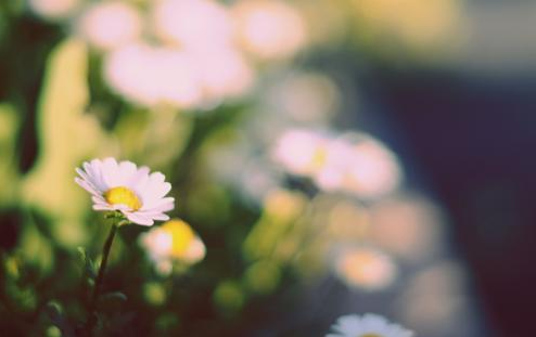 社科院在职博课程班到底具备什么优势呢?