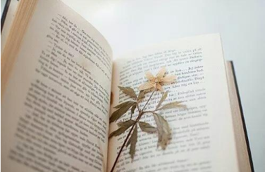 考在职博士能否免试入学呢？　