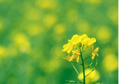 社科院在职研究生课程班有什么优势呢