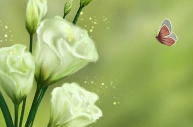 中国社会科学院研究生院课程可以免试入学吗？