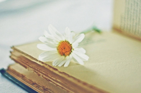 工商管理emba总裁高级研修班适合哪些人报考呢