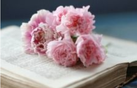 乡村振兴战略高级研修班怎样才能报名呢?