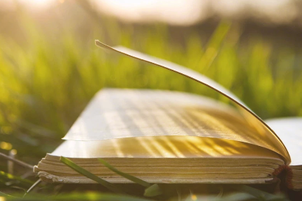 股权及公司治理董事长高级研修班师资力量如何？