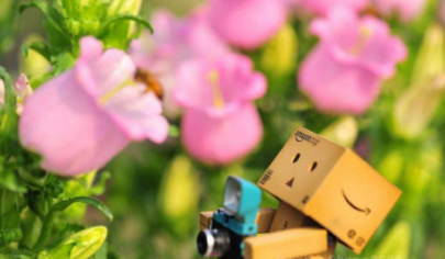 上市公司董事长高端项目招生对象是谁？