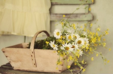 《论语》精读课程研修班有哪些特色呢？