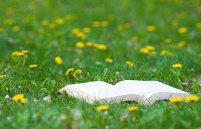 长江大学在职研究生得学习多久？