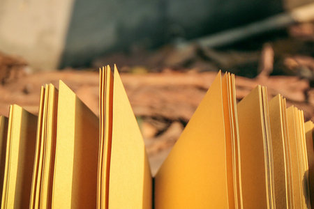 在职博士证书对评职称有什么用？