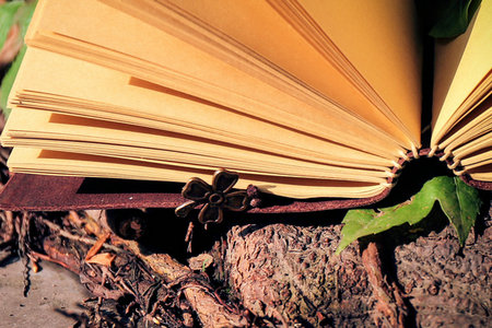 上海交大现代品牌与战略营销研修课特色是?