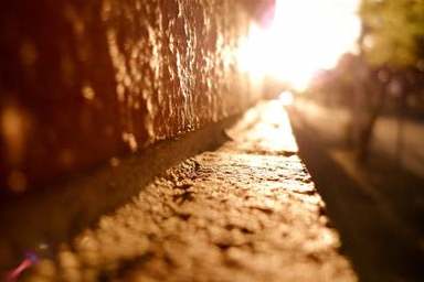 网络教育本科可以考研吗？