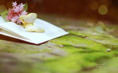 业余大专学习形式是哪几种？