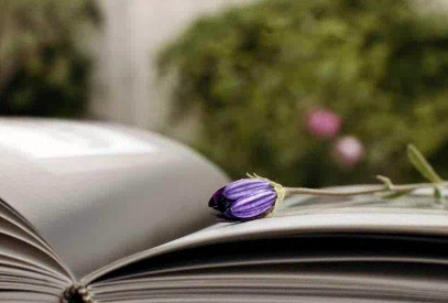 北京自考大专难不难？