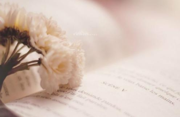 北京理工大学人力资源自考好考吗?