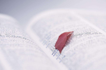 自考报什么专业最容易？