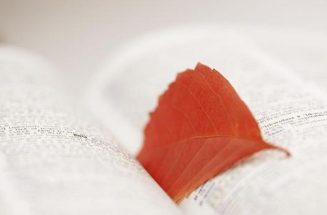 成人大专应该如何报名？