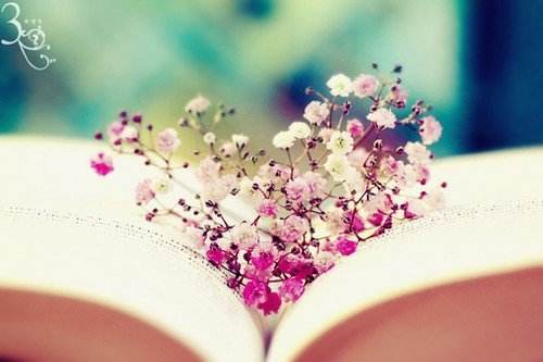 函授专升本毕业后能拿到学位证吗