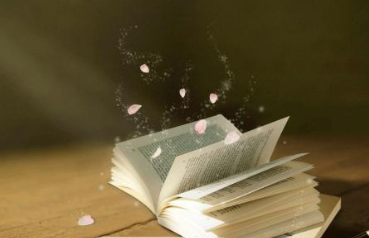 高起专是中专还是大专