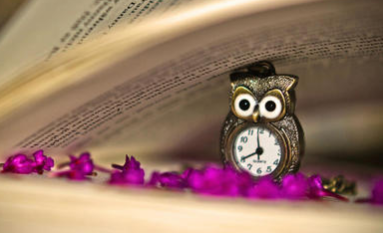 尼斯大学工商管理博士DBA项目的宗旨是什么？