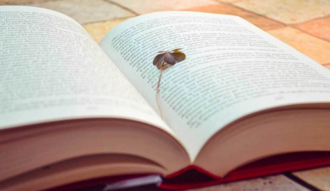 申请华威大学项目管理硕士班要什么材料？