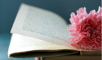 成人高考教育班哪家好