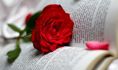 今年在职博士分数线固定吗