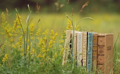 在职博士的报考英语的难度大不大