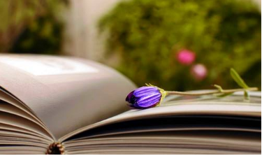 围绕在职博士考生论文该怎样选题