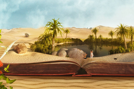 怎么才能报考在职博士？