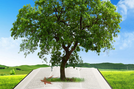 索菲亚大学在职研究生报考有啥注意事项？