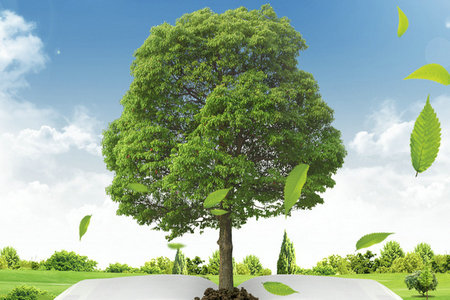 英语差报考中外合办在职研究生有啥影响吗？