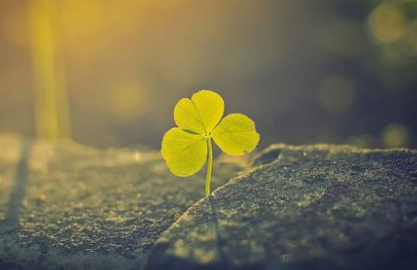 大连医科大学公共卫生学院有哪些自身优势？