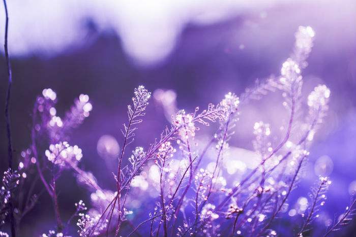 中央财经大学中财亚琛应用科学大学留学预科班有哪些优势？