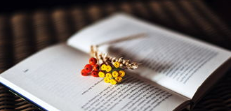 哪些学员适合报考史学大讲堂课程？