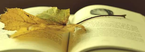 商界领袖国学班有哪些课程特色？