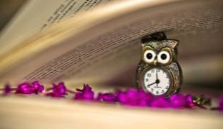 哪些学员适合报考商界领袖国学班？