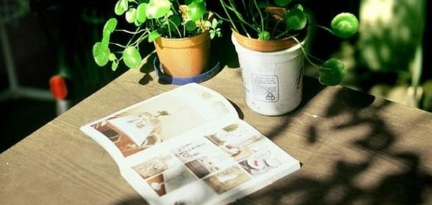 第四届明珠特训营有哪些课程亮点？