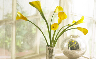 全国医疗行业职业院长EMBA班课程特色如何？