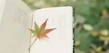 哪些学员适合报考北大区域开发与城市运营班？