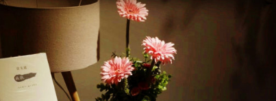 北京大学新营销实战班的课程怎么样？