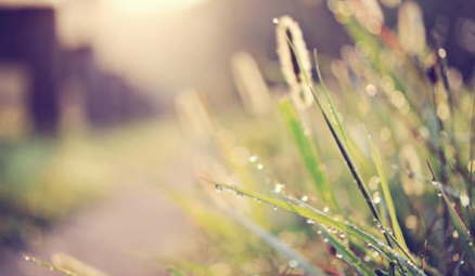 学员参加私募股权投资高级研修班有哪些课外实践？