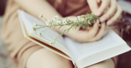 企业CEO国际班能让你收获什么？