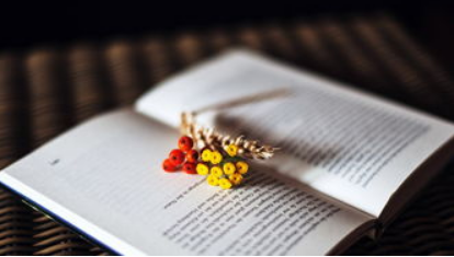 在职人员读在职博士的花费贵不？