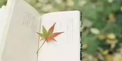 法国IPAG高等商学院EMBA项目课程设置是如何的？