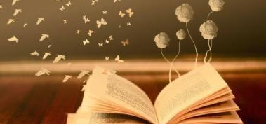 法国IPAG商学院EMBA项目优势体现在哪里？