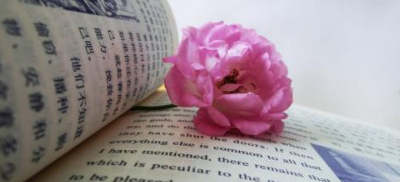 金融创新与领导力提升班带给学员怎么的特色享受？