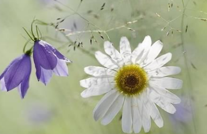 浙江大学英国布里斯托大学留学精培班有哪些优势？