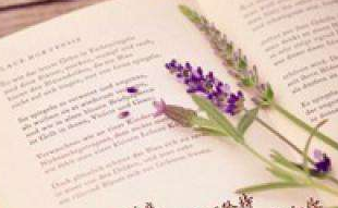 哪些学员适合报考新基建下工程建设EPC实战研讨班？