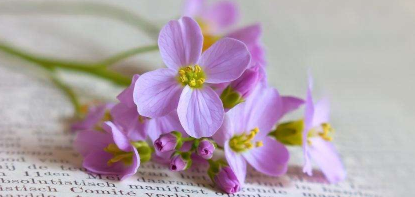 新基建下工程建设EPC实战研讨班上课时怎样安排的？