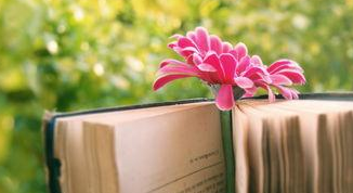 哪些学员适合报考复旦大学资本与并购企业家课程?