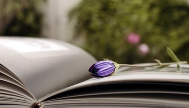 复旦大学资本与并购企业家课程报考程序是怎样的?