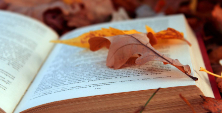 国学百家讲坛研修班特色如何？